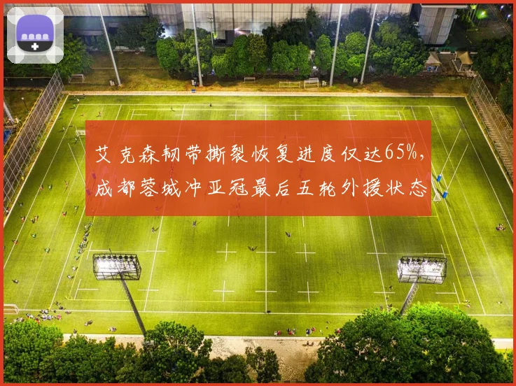 艾克森韧带撕裂恢复进度仅达65%，成都蓉城冲亚冠最后五轮外援状态成最大变数